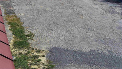 Nástup na běžecké tratě