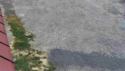 Nástup na běžecké tratě