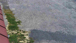 Nástup na běžecké tratě