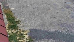 Nástup na běžecké tratě