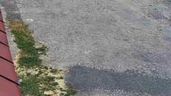 Nástup na běžecké tratě