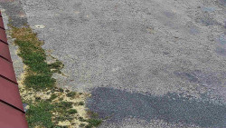 Nástup na běžecké tratě