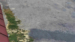 Nástup na běžecké tratě