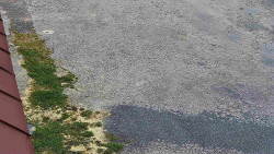 Nástup na běžecké tratě