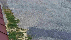 Nástup na běžecké tratě