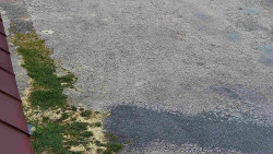 Nástup na běžecké tratě