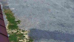 Nástup na běžecké tratě