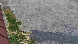 Nástup na běžecké tratě