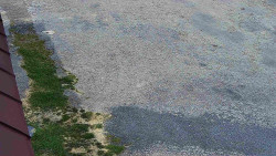 Nástup na běžecké tratě