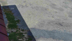 Nástup na běžecké tratě