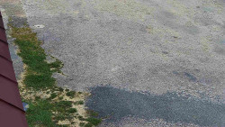 Nástup na běžecké tratě