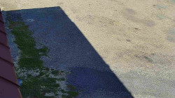 Nástup na běžecké tratě