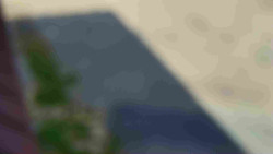 Nástup na běžecké tratě