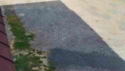 Nástup na běžecké tratě