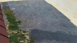 Nástup na běžecké tratě