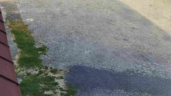 Nástup na běžecké tratě