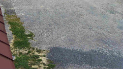 Nástup na běžecké tratě