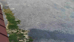 Nástup na běžecké tratě