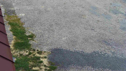 Nástup na běžecké tratě