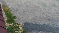 Nástup na běžecké tratě