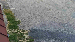 Nástup na běžecké tratě