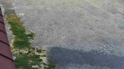 Nástup na běžecké tratě