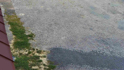 Nástup na běžecké tratě