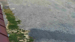 Nástup na běžecké tratě