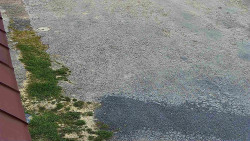 Nástup na běžecké tratě