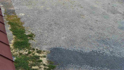 Nástup na běžecké tratě