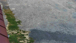 Nástup na běžecké tratě