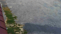 Nástup na běžecké tratě