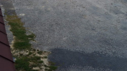 Nástup na běžecké tratě