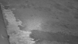 Nástup na běžecké tratě