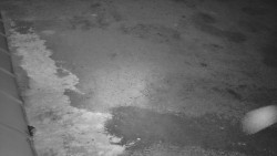 Nástup na běžecké tratě