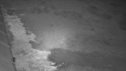 Nástup na běžecké tratě