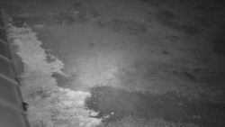 Nástup na běžecké tratě