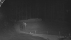 Nástup na běžecké tratě