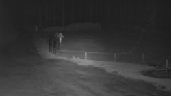 Nástup na běžecké tratě