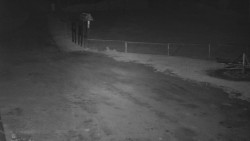 Nástup na běžecké tratě