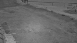 Nástup na běžecké tratě