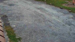 Nástup na běžecké tratě