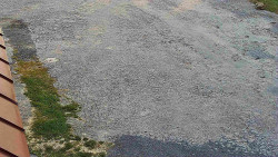 Nástup na běžecké tratě