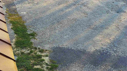 Nástup na běžecké tratě