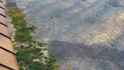 Nástup na běžecké tratě