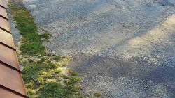 Nástup na běžecké tratě