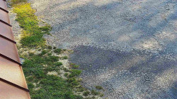 Nástup na běžecké tratě