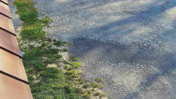 Nástup na běžecké tratě