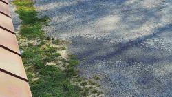 Nástup na běžecké tratě