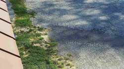 Nástup na běžecké tratě